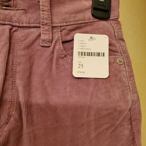 Free People Pants
